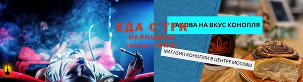 шишки Осташков
