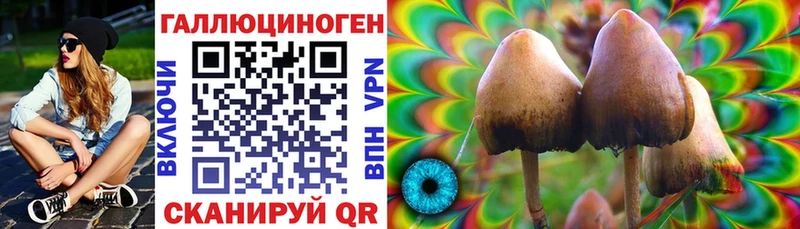 цены наркотик  Нефтегорск  Галлюциногенные грибы Psilocybe 